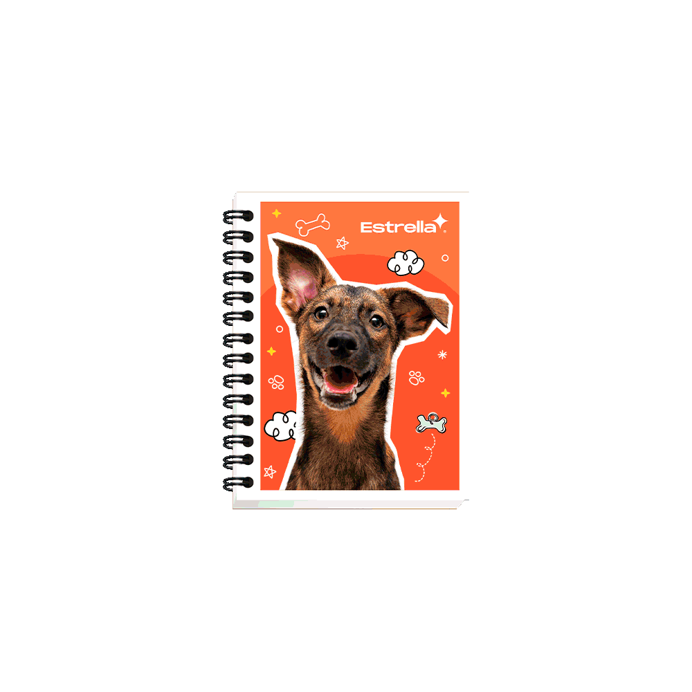 CUADERNO MINI BOOK ESPIRAL DOBLE